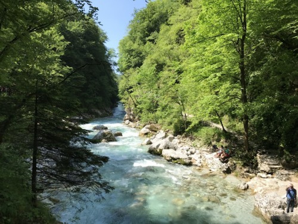 Tolminka river, Triglav national park, Slovenia