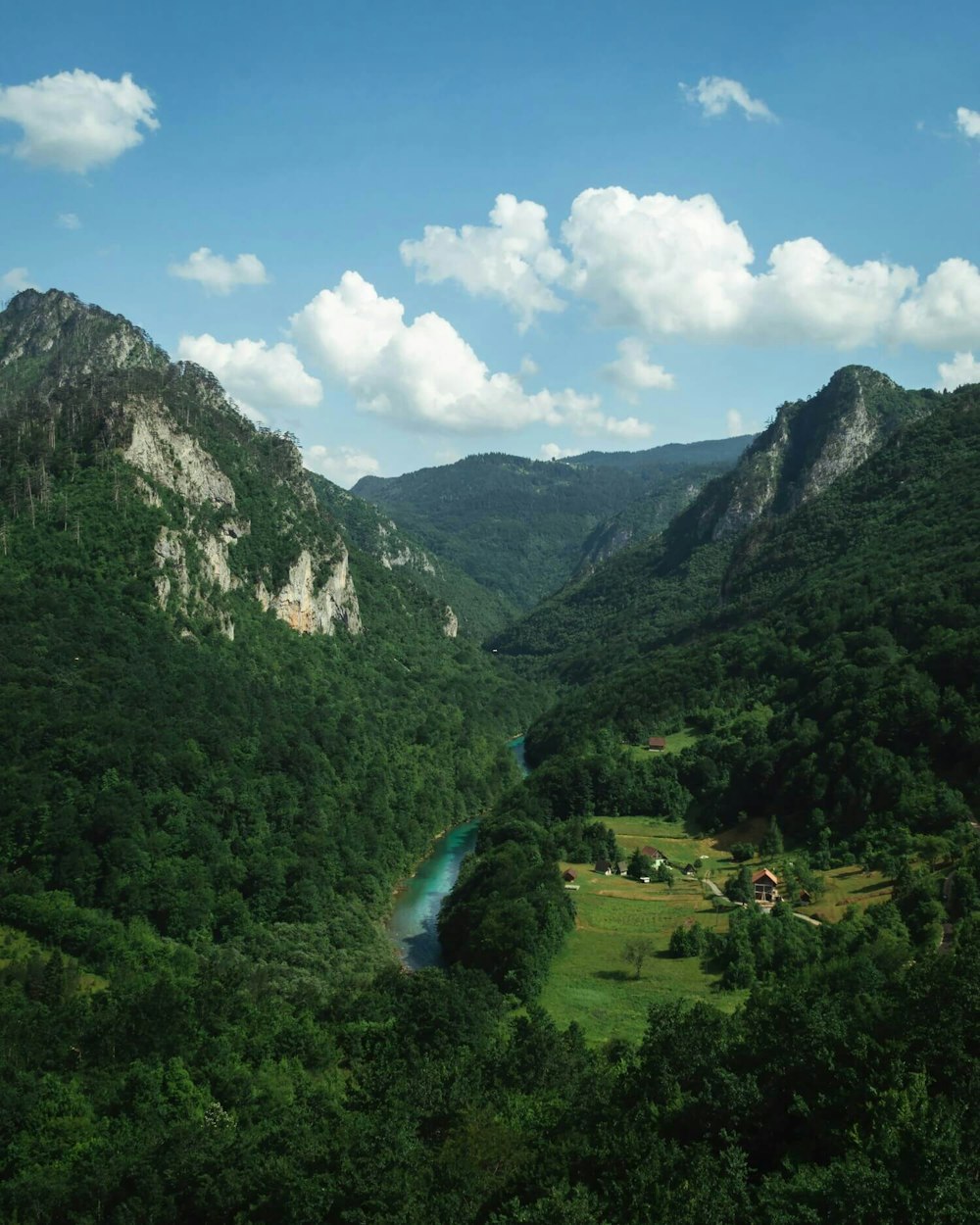 Untouched Tara canyon, Montenegro