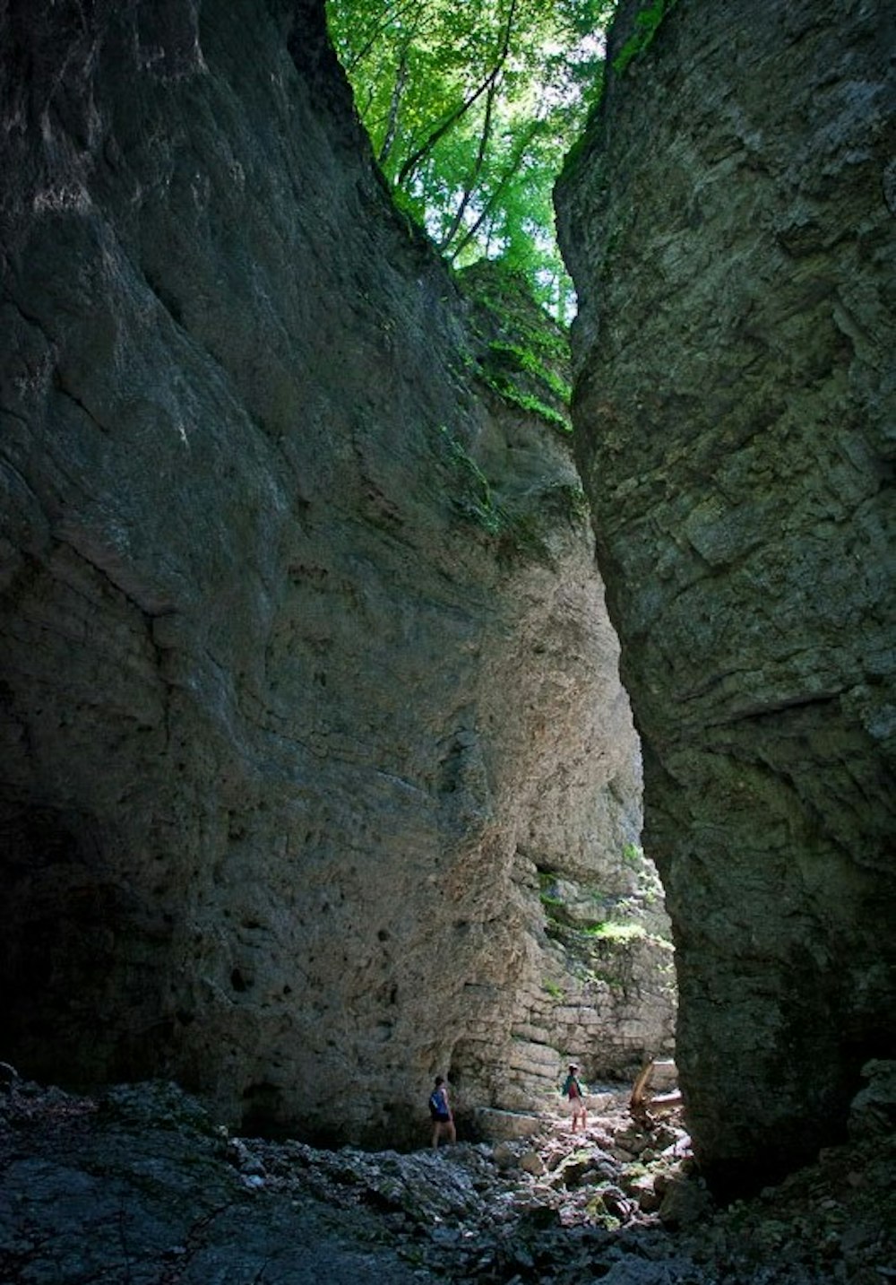 Stone walls in Triglav national park