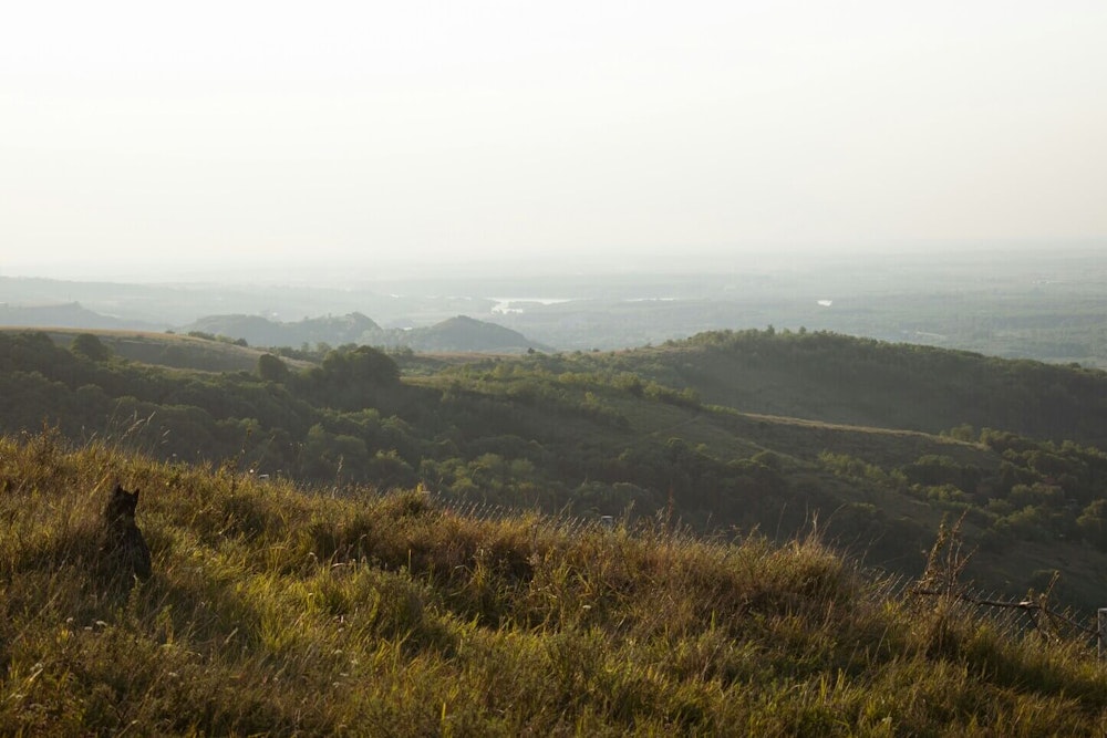 Beautiful Serbian landscape