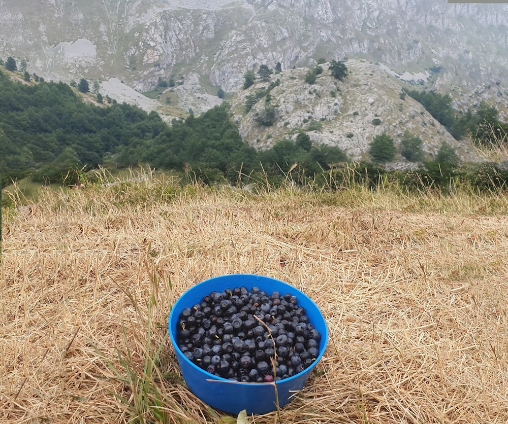 Serbian free camping areas