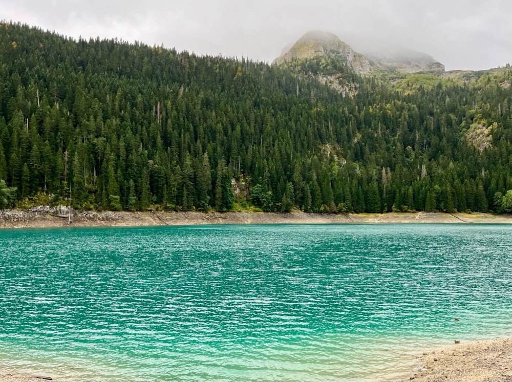 Beautiful camping spot in Durmitor, Montenegro