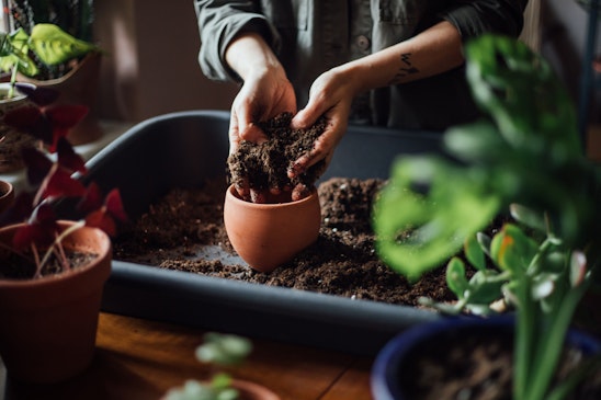 Gardening
