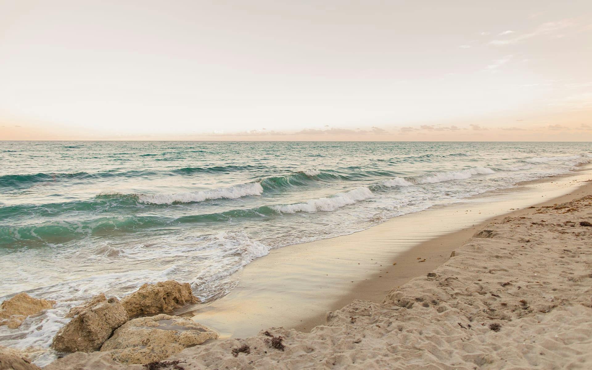 beach edge