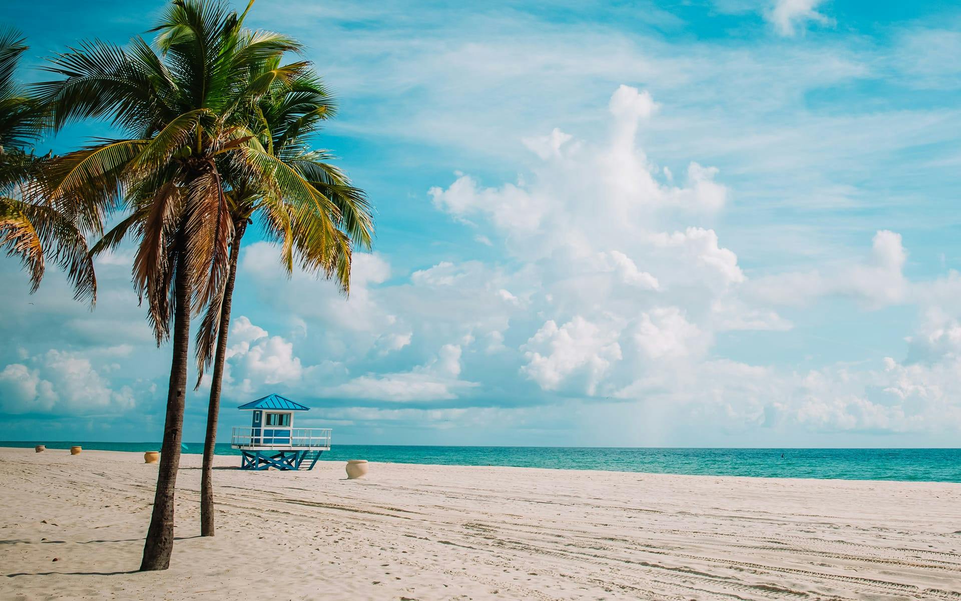 bright sky with the ocean and palm trees