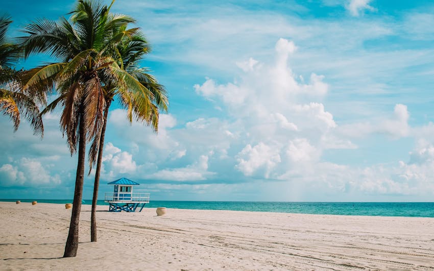 bright sky with the ocean and palm trees