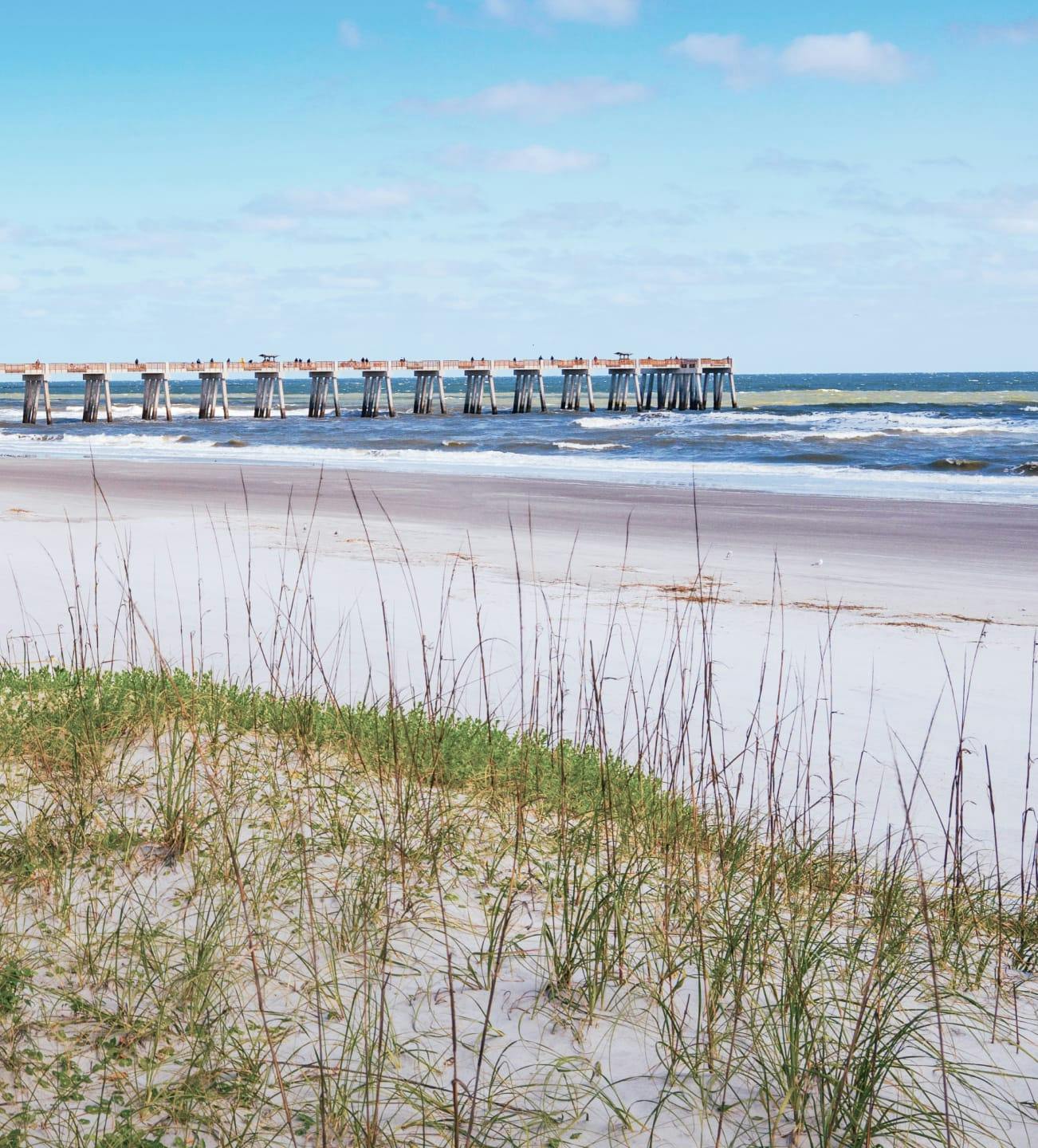 view of beach with dock in distance