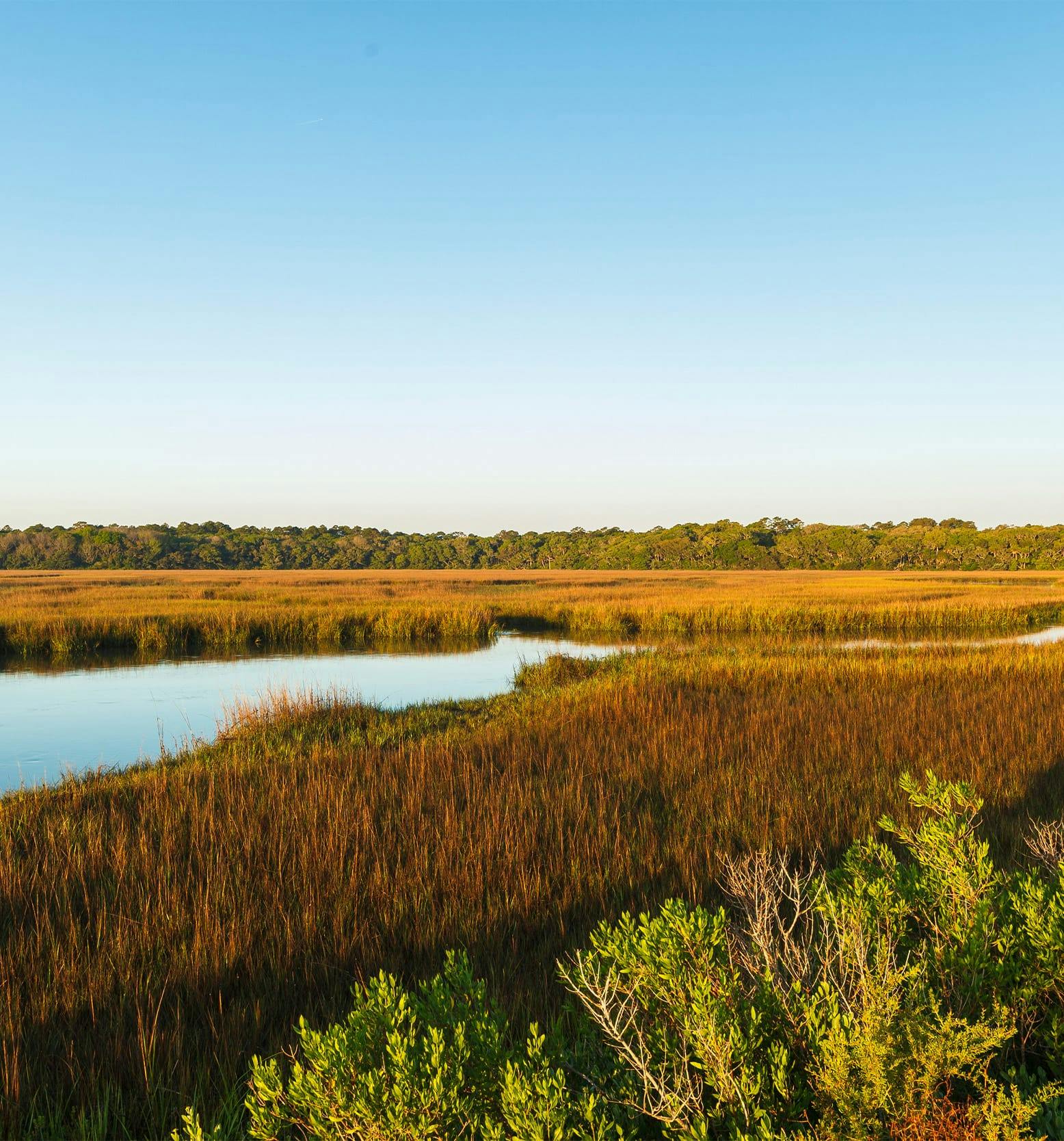 Green Cove Springs