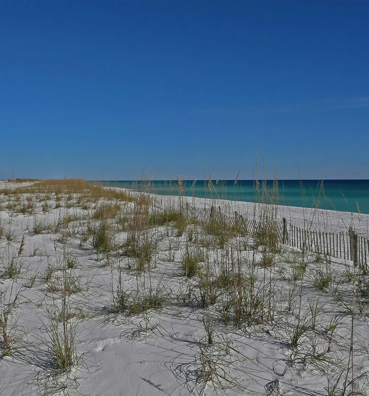 Neptune Beach