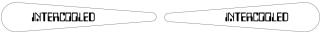 Flipper top decal Data East 'Intercooled'