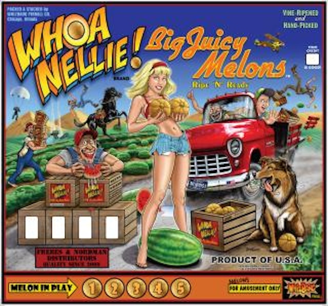 WHOA NELLIE (Stern) Backglass