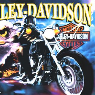 HARLEY DAVIDSON Pinball (Sega 1999) GX1046