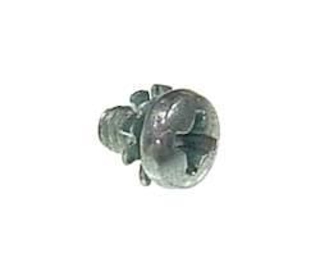 Screw and star lock washer