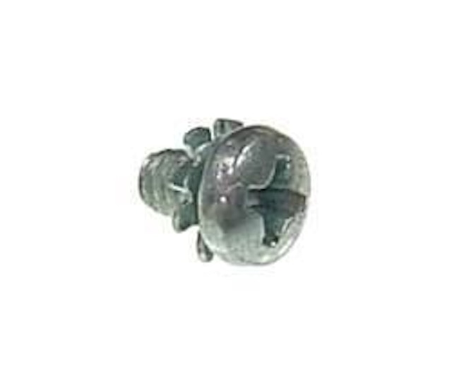 Screw and star lock washer