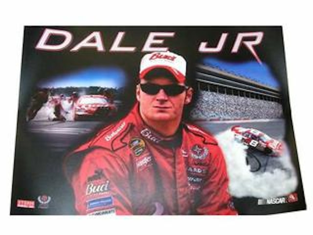DALE JR. (Stern) Translite "BUD"