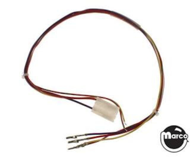 THEATRE OF MAGIC (Bally) Trunk cable