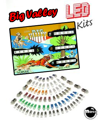BIG VALLEY (Bally) LED kit