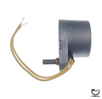 Motor - 24 VAC 50/60Hz 3W 15 RPM