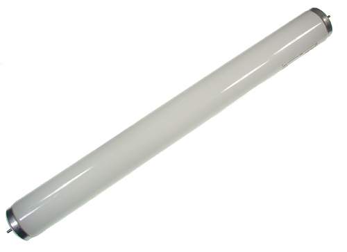 Lamp fluorescent 14 watt 15 inch 24-6597-5