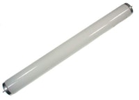 Lamp fluorescent 14 watt 15