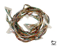 FLIGHT 2000 (Stern) Backbox wire harness