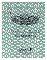 GRAND LIZARD (Williams) Manual