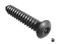 Screw #8 x 1" SM tamperproof Torx&reg; SST