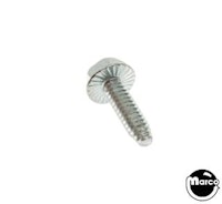 Machine Screw 6-32 x 1/4 inch hwh swage serrated
