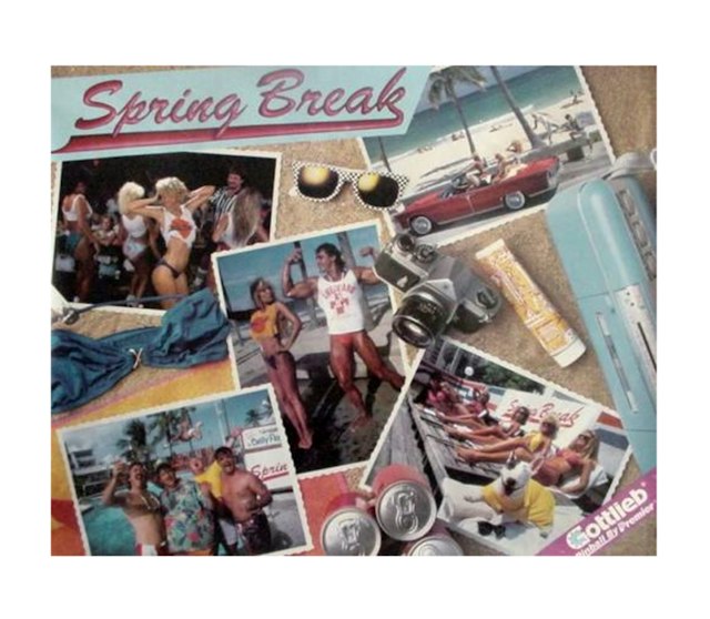 SPRING BREAK (Gottlieb) Translite