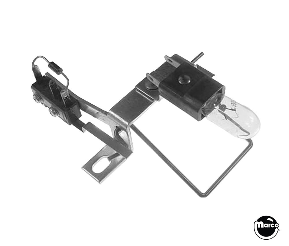 Roll under gate & lamp assembly