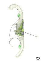 X-FILES (Sega) Pit Ramp exit assy