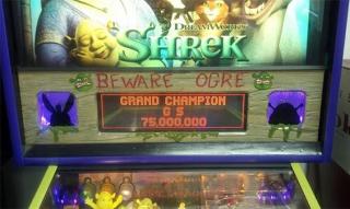 SHREK (Stern) Display Panel Custom