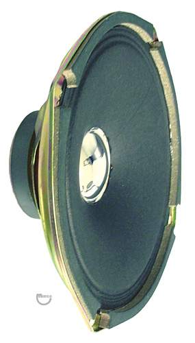 Speaker 6 inch 8 ohm 20 w USE 5555-13961-00