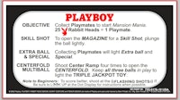 PLAYBOY (Stern) Card Instructions