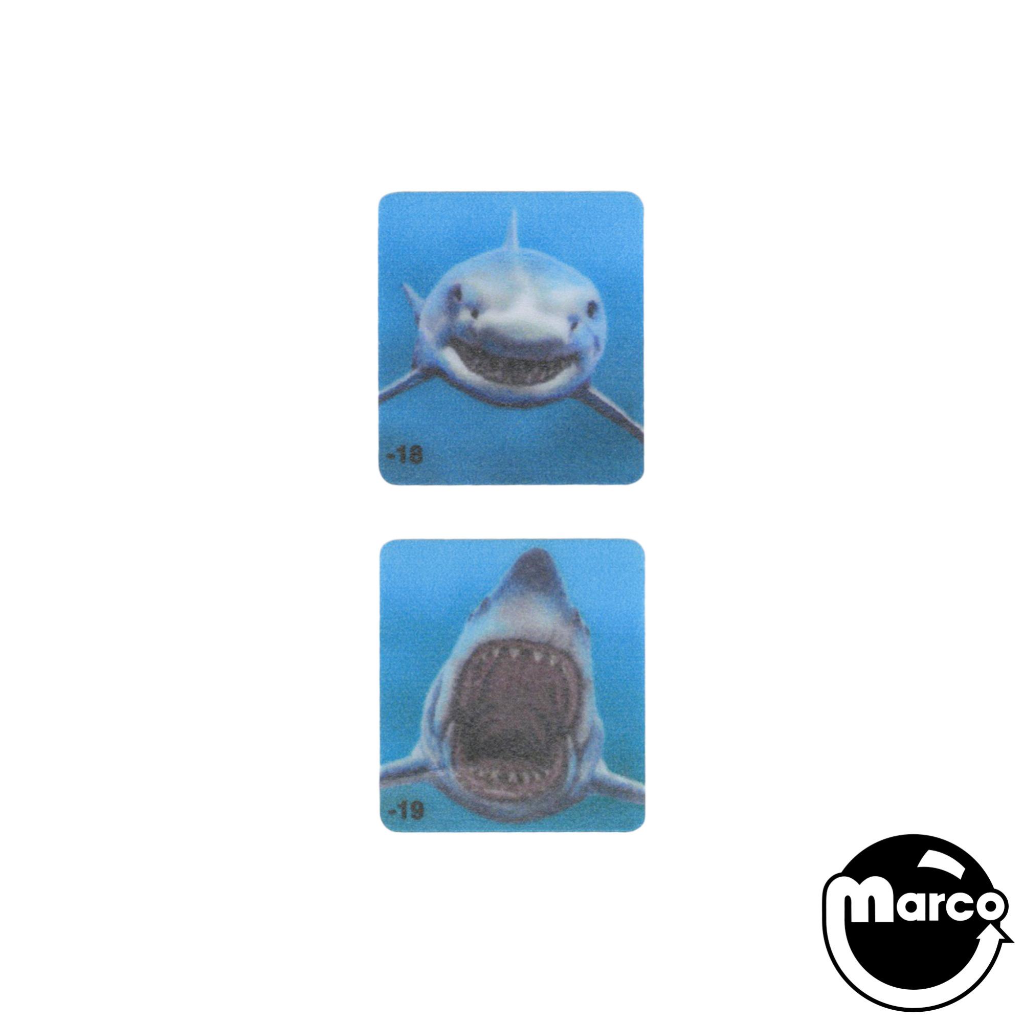 JAWS PRO (Stern) Shark Spinner Decals