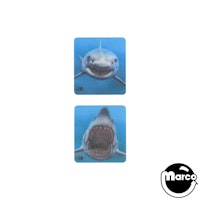 JAWS PRO (Stern) Shark Spinner Decals