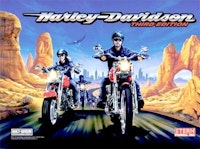 HARLEY DAVIDSON (Stern) Translite