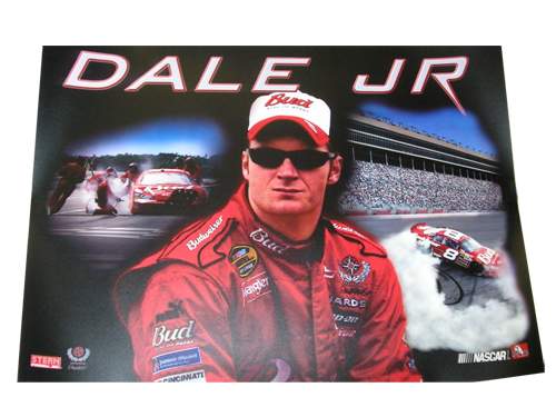 DALE JR. (Stern) Translite "BUD"