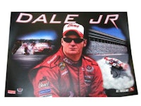 DALE JR. (Stern) Translite "BUD"