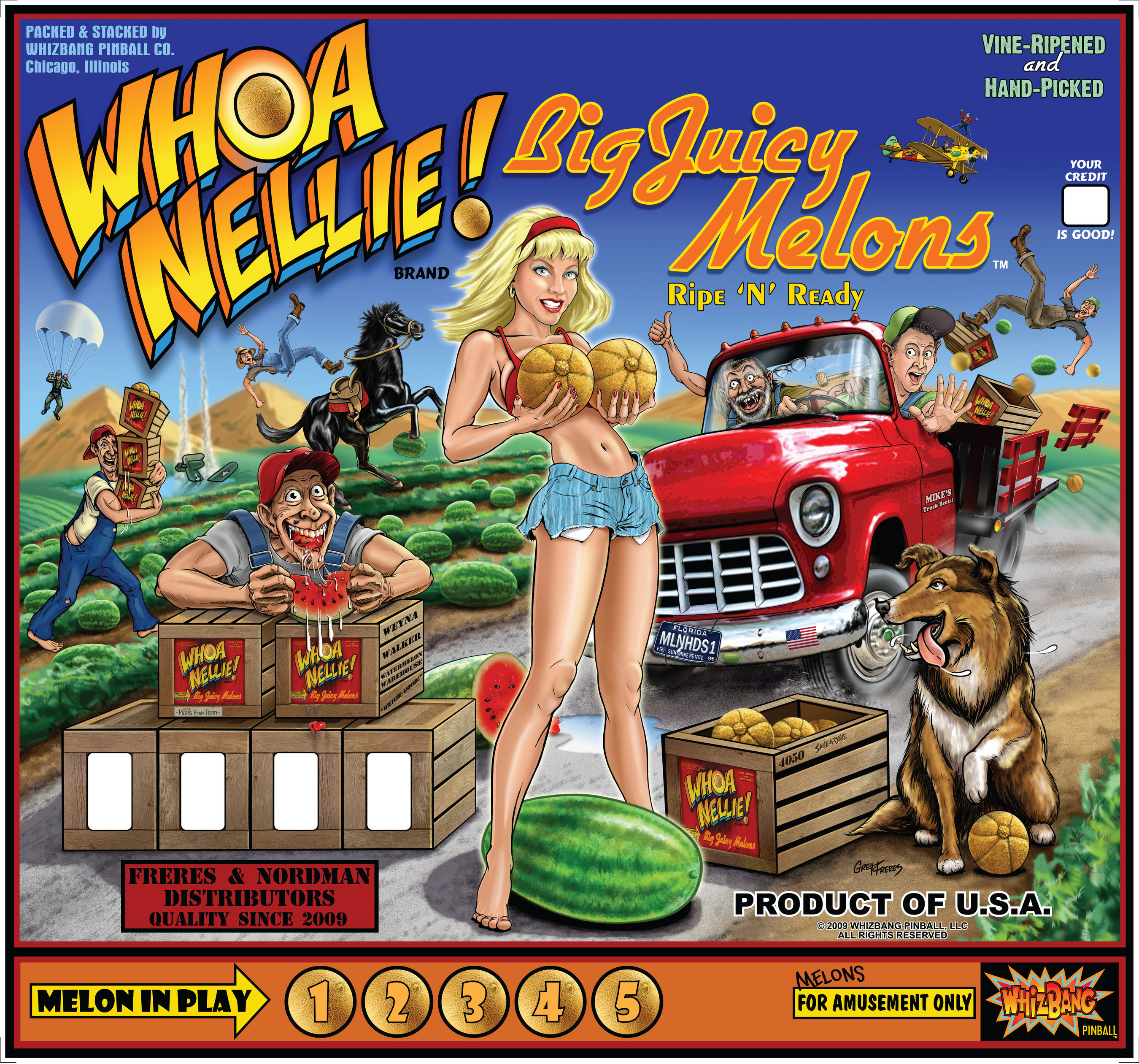 WHOA NELLIE (Stern) Backglass