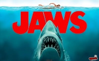 JAWS PRO (STERN) Translite