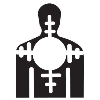 DIRTY HARRY (Williams) Target decals (7)