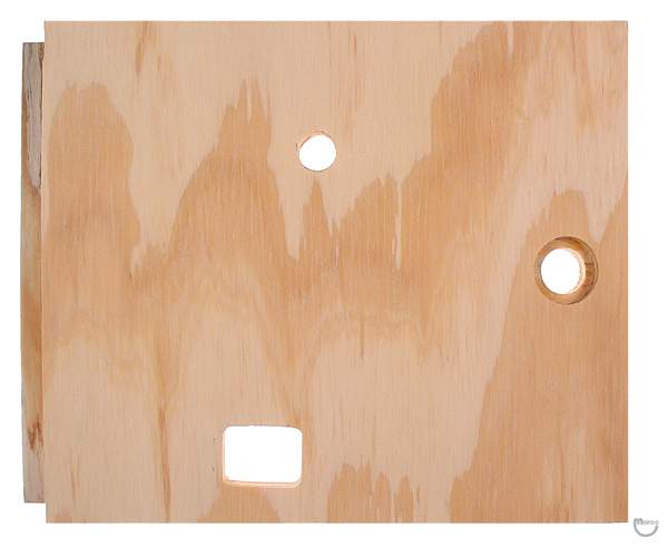 Coin Door - wood Bally FROLICS Bingo