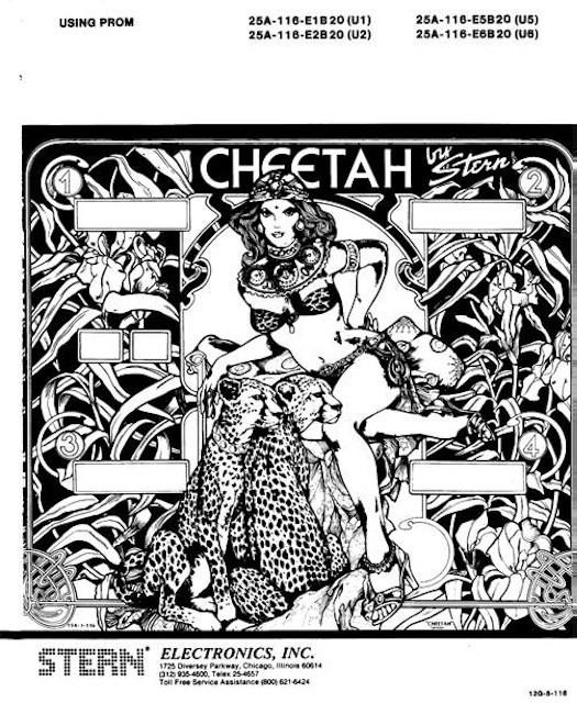 CHEETAH (Stern) Manual