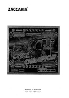 POOL CHAMPION (Zaccaria) Manual & Schem.
