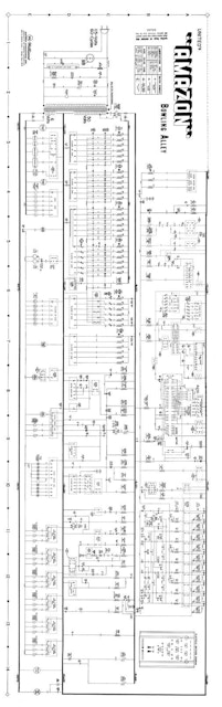 AMAZON SHUFFLE ALLEY (United) Schematic