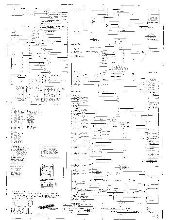 AUTO RACE (Gottlieb) Schematic