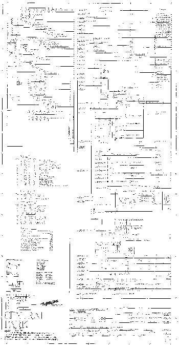 CENTRAL PARK (Gottlieb) Schematic