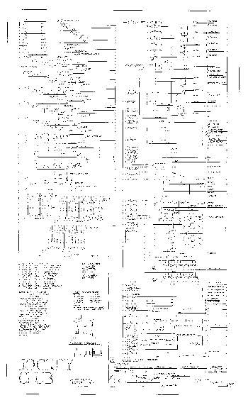 JOCKEY CLUB (Gottlieb 1954) Schematic