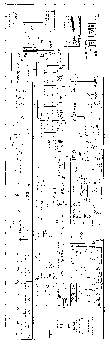 AZTEC BOWLING ALLEY (United) Schematic